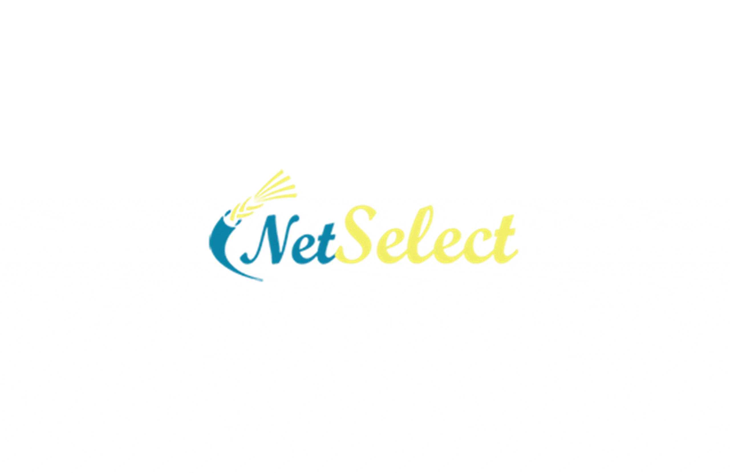 Netselect Scaled 1
