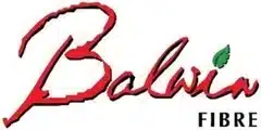 Balwin Fibre Logo