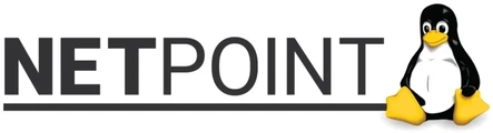 Netpoint Logo