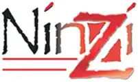 Ninzi Connect Logo